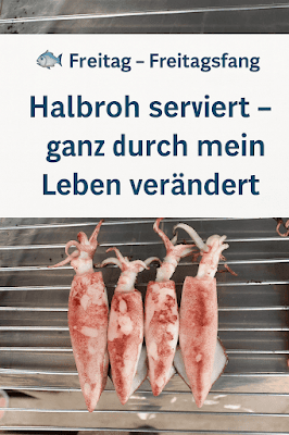 tintenfisch tintenfisch