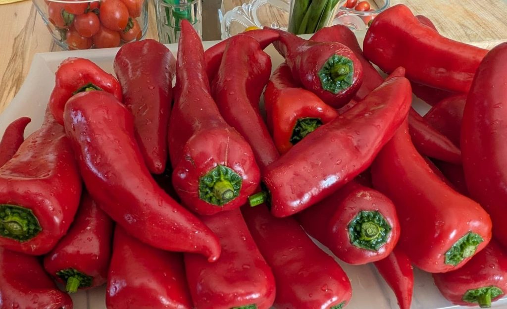 rote Spitzpaprika