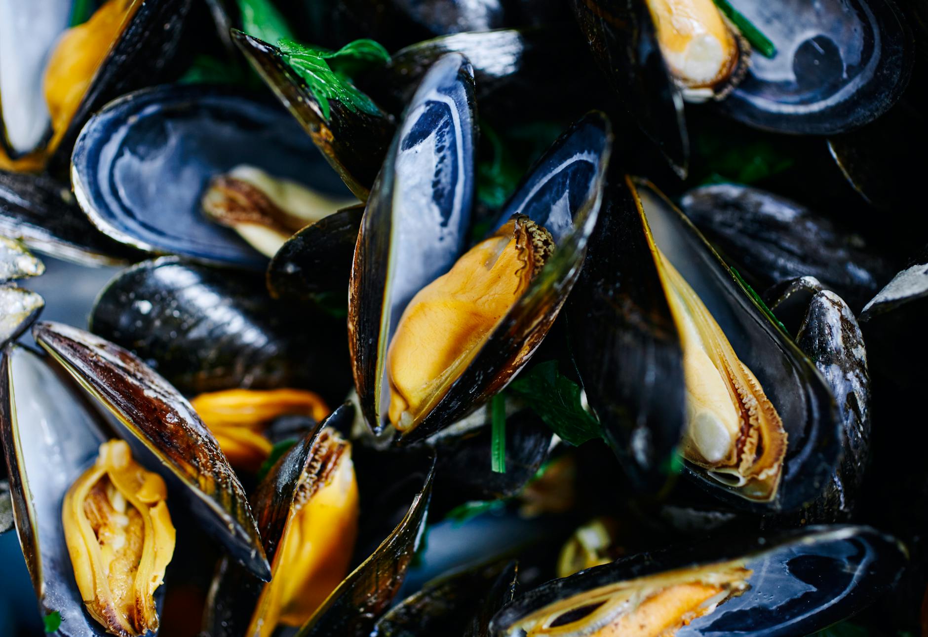 vibrant closeup of freshly cooked mussels