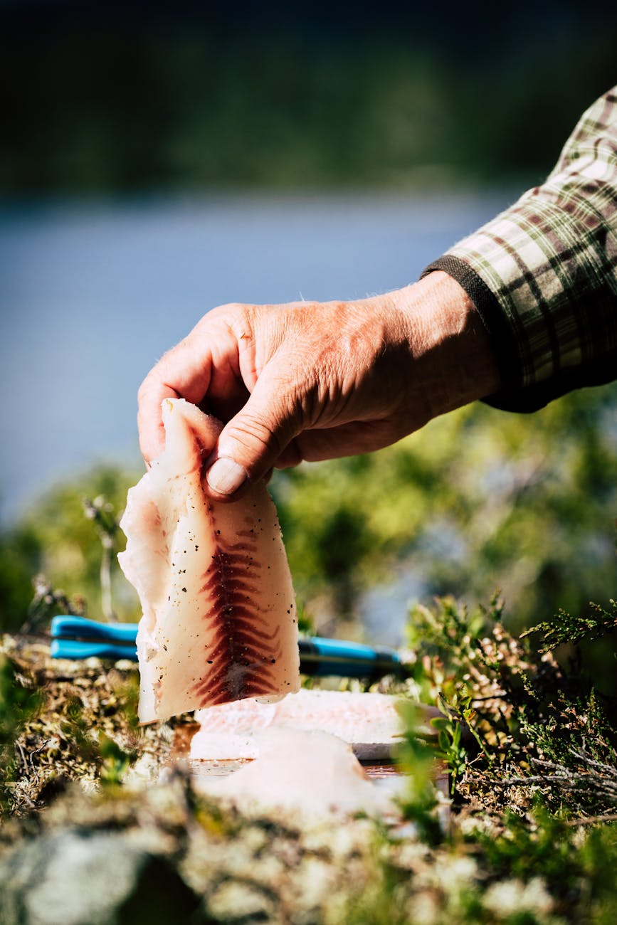 photo of a person s hand holding raw fish