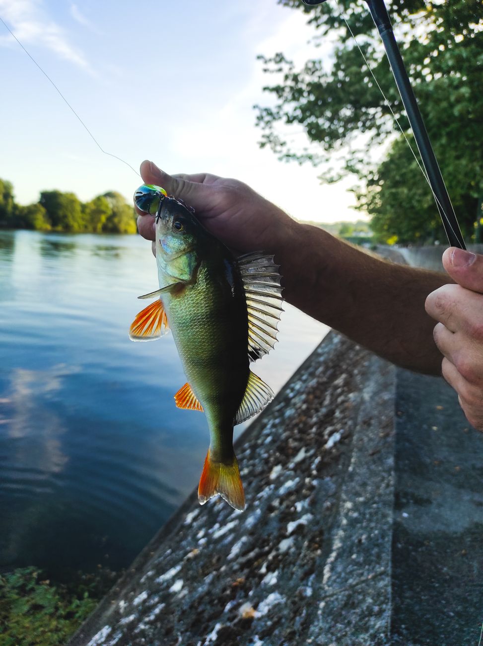 close up of man holding a freshly caught fish