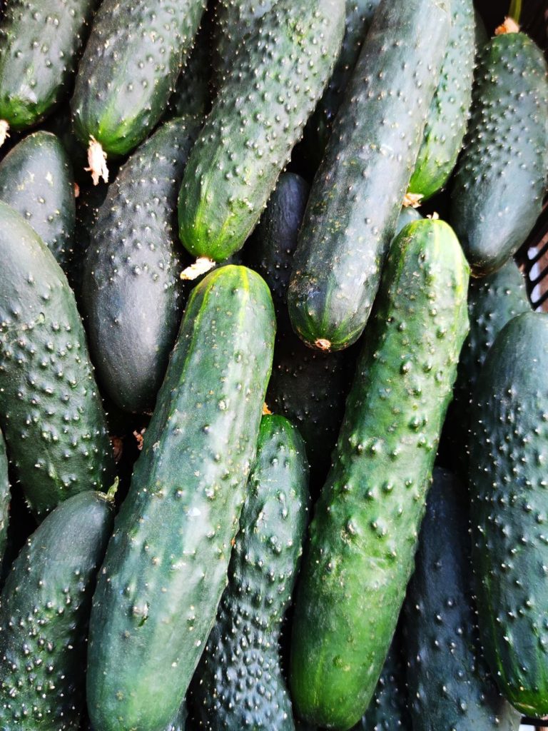 close up shot of zucchinis