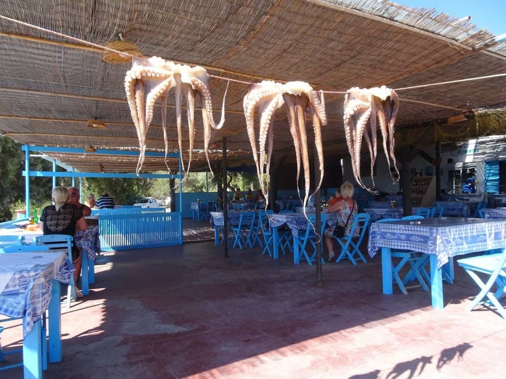 Pulpo